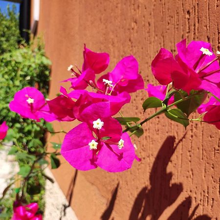 Casapatrizia B&B Sirmione Dış mekan fotoğraf