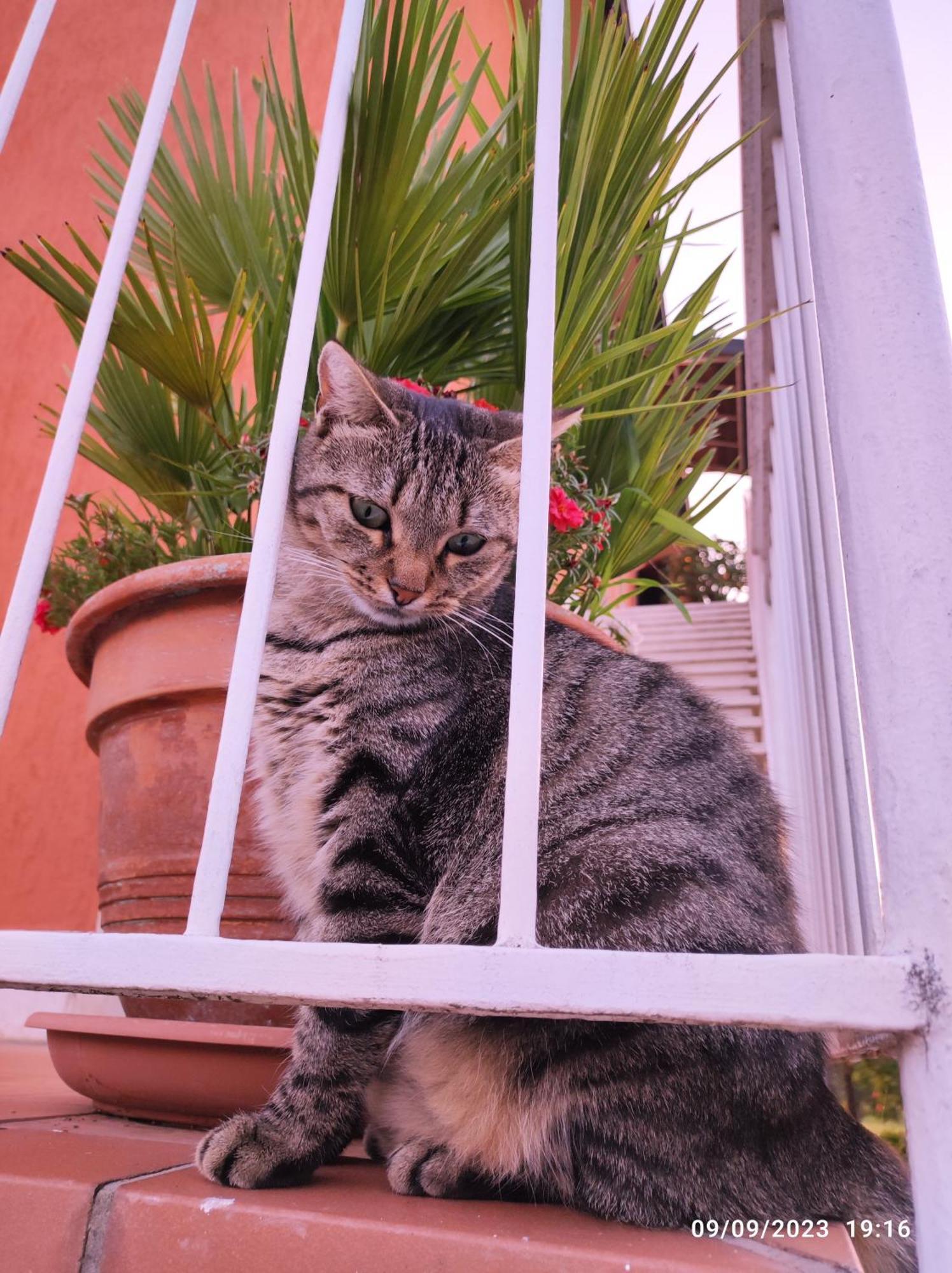 Casapatrizia B&B Sirmione Dış mekan fotoğraf